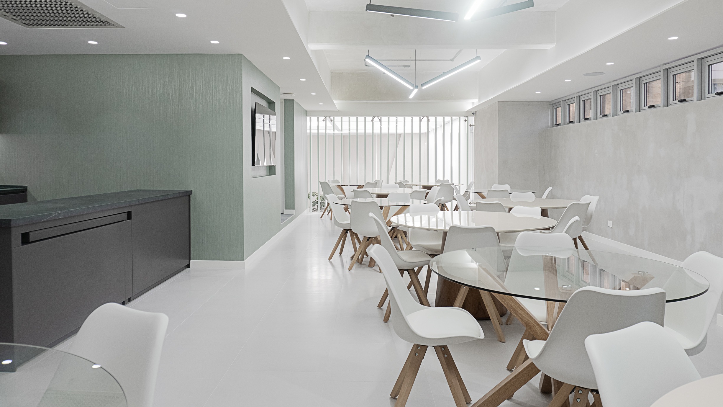 004_Minerva-estudio-ed